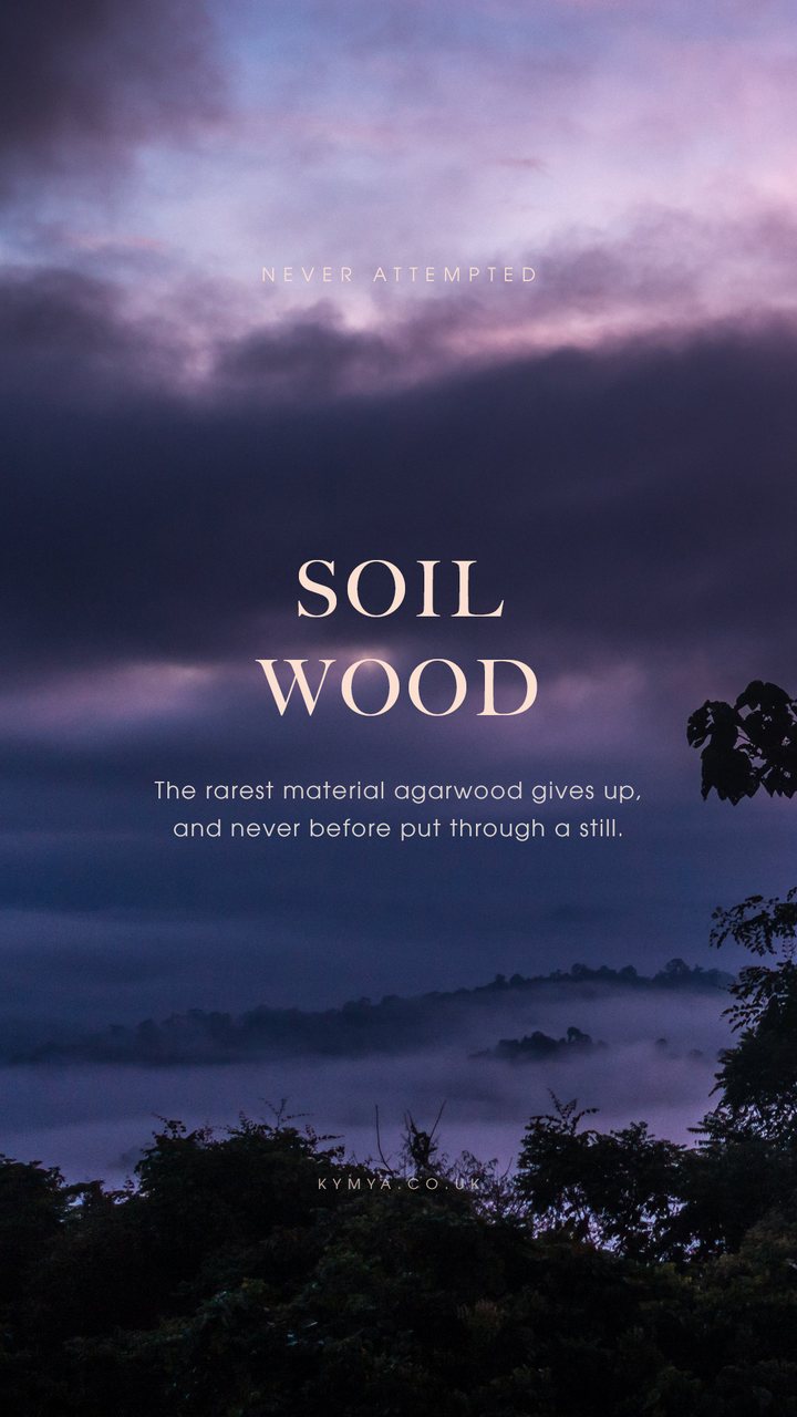 Soil wood. The rarest material agarwood gives up, and never before put through a still.