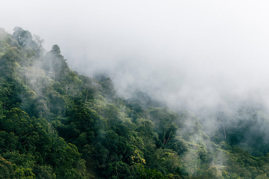 Brunei