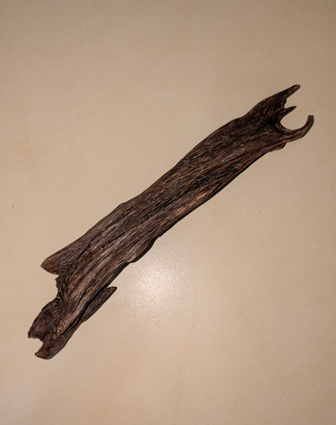Sultani Oud