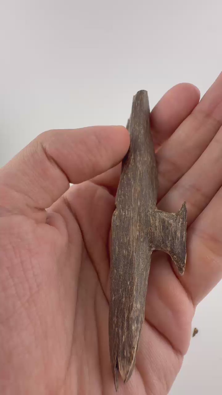 West Malay sinking agarwood
