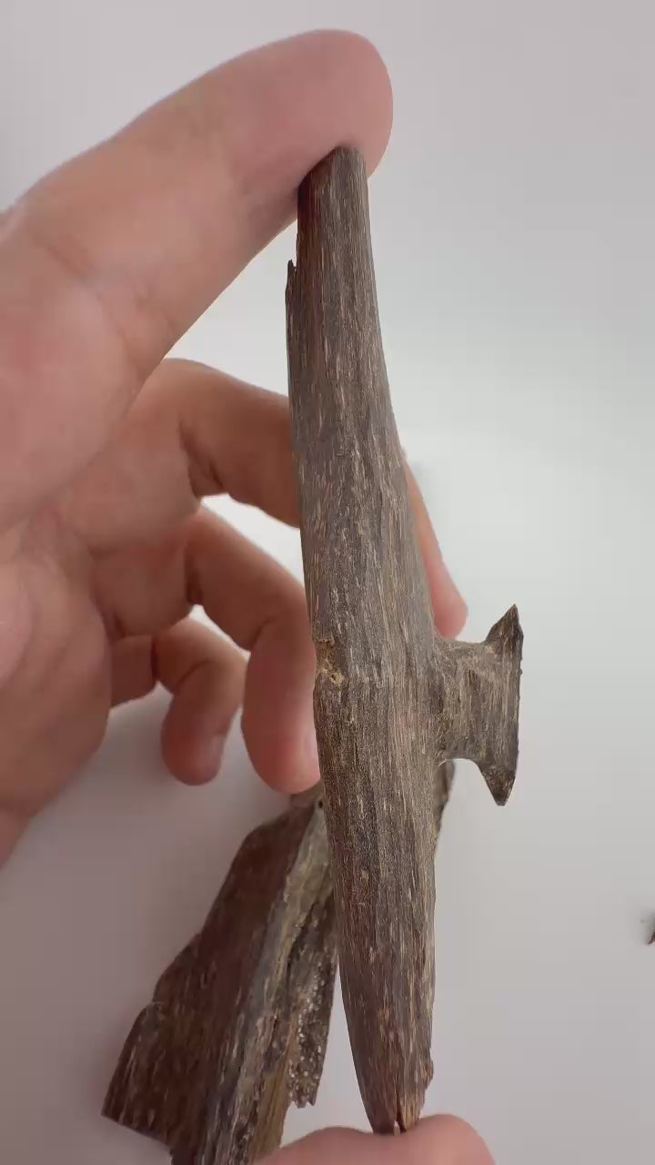 West Malay sinking agarwood