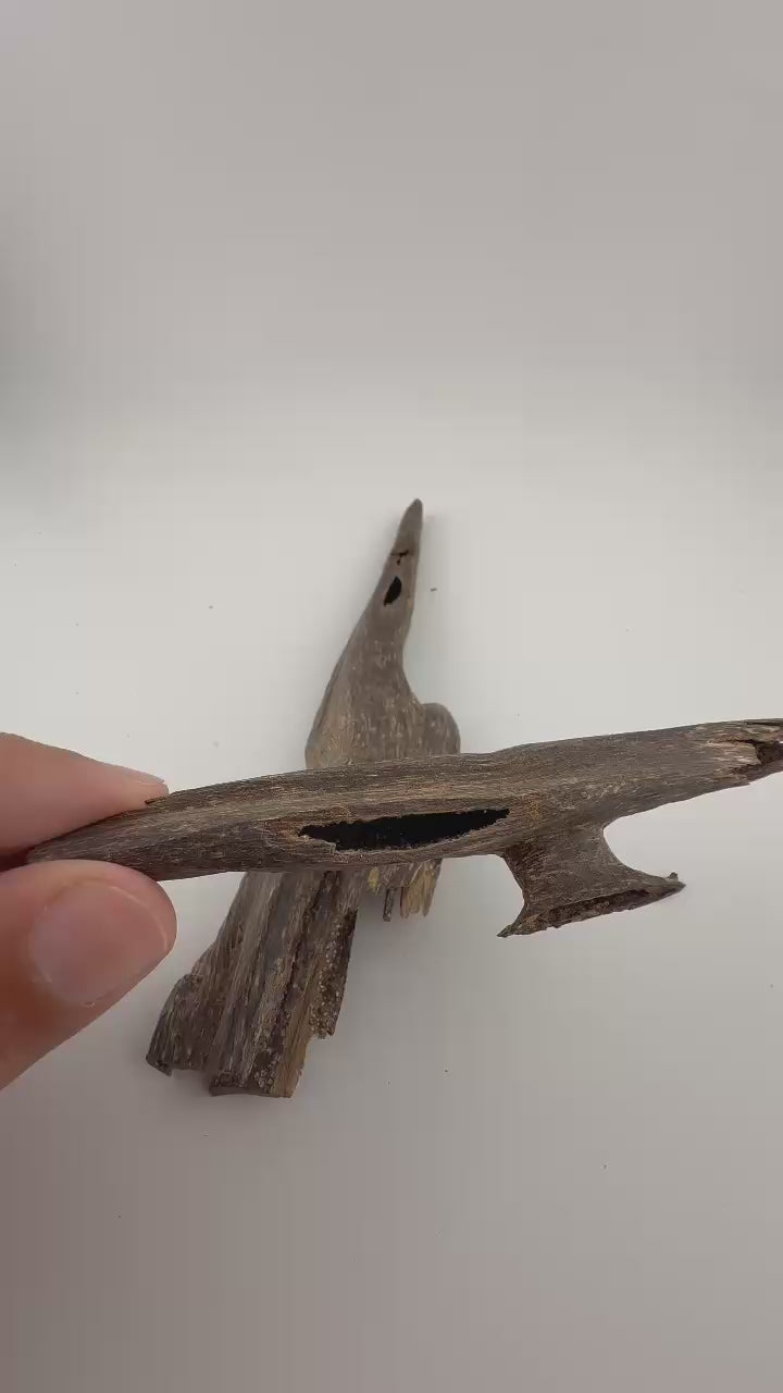 West Malay sinking agarwood